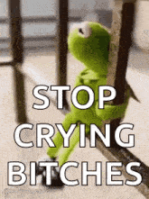 kermit the frog is sitting on a railing with the words `` stop crying bitches '' written above him .
