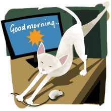 Good Morning Cat GIF - Good Morning Cat Love GIFs