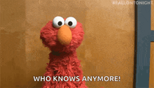 elmo from sesame street is standing in front of a wooden wall and saying `` who knows anymore ! ''