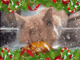 Santa Cat GIF - Santa Cat Hungry GIFs