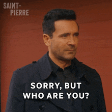 a man says " sorry but who are you " in front of a red wall