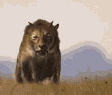 Saber Tooth Tiger Walking With Beasts GIF - Saber Tooth Tiger Walking With Beasts Walking With Dinosaurs GIFs