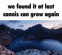 Cannis Oasis GIF - Cannis Oasis Growth GIFs