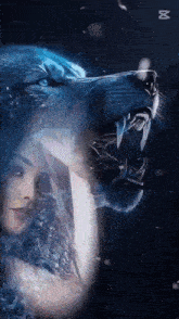a woman is standing next to a wolf with its mouth open and teeth showing .
