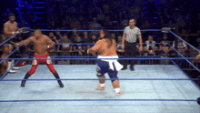 two wrestlers are in a ring with a referee watching