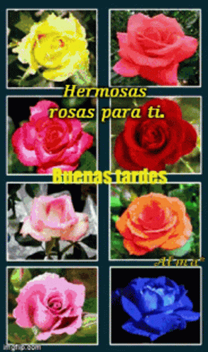 Hermosas Rosas Para Ti GIF - Hermosas Rosas Para Ti - Discover & Share GIFs