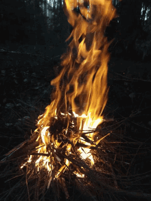 Fire Campfire GIF - Fire Campfire Burning GIFs