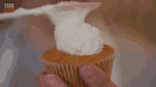 buttercream frosting icing cupcake dessert
