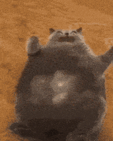 a gray cat is laying on its back on a table