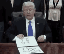 Donald Trump Kat GIF - Donald Trump Kat Cat GIFs