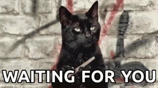 Waiting Waiting For You GIF - Waiting Waiting For You Cat Nail File -  Discover & Share GIFs