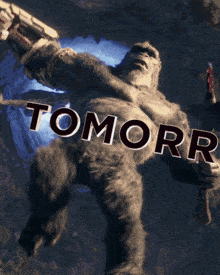 Kong Godzilla X Kong The New Empire GIF - Kong Godzilla X Kong The New Empire Tomorrow GIFs