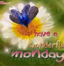 Have A Wonderful Monday Wishes GIF - Have A Wonderful Monday Wishes Gifs GIFs