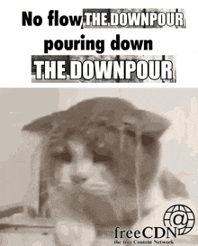 a cat with the words no flow the downpour pouring down the downpour on it