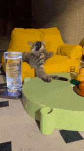 a cat laying on its back next to a glass of water on a table