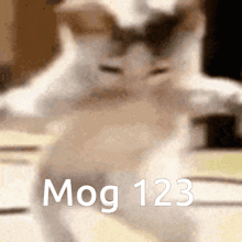 Mog 123 GIF