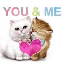 Love You Kitten GIF - Love You Kitten You And Me GIFs