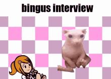 Bingus Sphinx Cat GIF - Bingus Sphinx Cat Interview GIFs