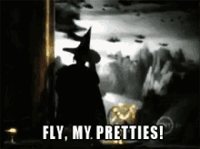 Wizard Of Oz Witch GIF - Wizard Of Oz Witch Fly My Pretties GIFs