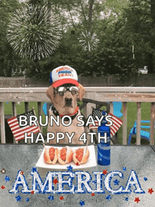 a dog wearing a patriotic hat and sunglasses says bruno says happy 4th america