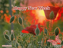 Happy New Week GIF - Happy New Week GIFs