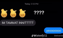 a screenshot of a text message that says im tammat innittt