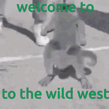 Wild West GIF - Wild West GIFs