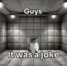 a cat is sitting in a room with the words " guys it was a joke "