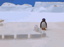 Pingu Noot Noot GIF - Pingu Noot Noot Pingu Amazon GIFs