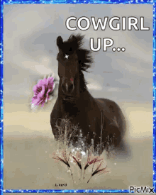 Cowgirl Cowboys GIF - Cowgirl Cowboys Horses GIFs