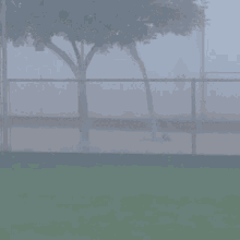 Pitcher Fog GIF - Pitcher Fog Blurry GIFs