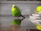 Bird Running Explosion GIF