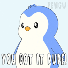 a blue and white penguin with the words you got it dude