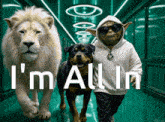 a lion and a dog are walking down a hallway with i 'm all in written on the floor