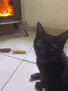 a black cat is laying on the floor in front of a fire place