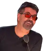 a man with a beard wearing sunglasses and a black sweater smiles in front of a microphone