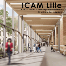 Icam Lille GIF