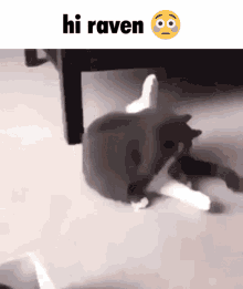 Hi Raven GIF - Hi Raven GIFs