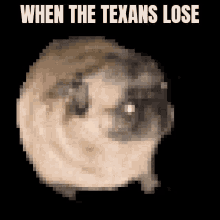 Nflc Texans GIF - Nflc Texans GIFs
