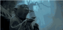 Yoda Morning GIF