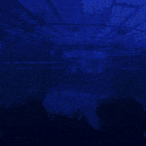 a blue background with the words go go goal written in white