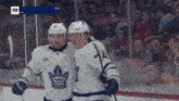 Toronto Maple Leafs Bobby Mcmann GIF