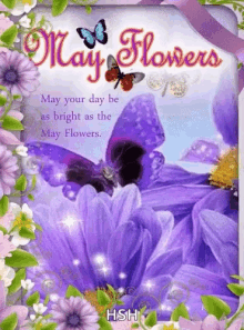 may mayo