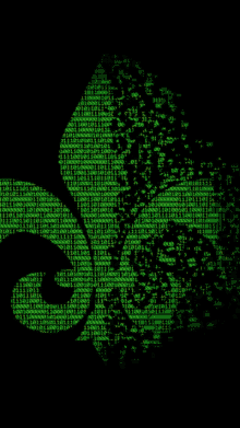a silhouette of a chameleon is surrounded by binary code