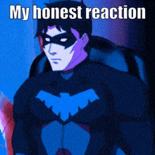 My Honest Reaction Nightwing GIF