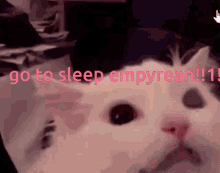 Go To Sleep Empyrean Sleep GIF - Go To Sleep Empyrean Sleep Empyrean GIFs