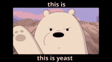 This Is Yeast This Is This Is Yeast GIF