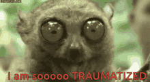 Traumatized Tarsier GIF - Traumatized Tarsier Afraid GIFs