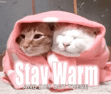 Cold Weather GIF - Cold Weather Is GIFs