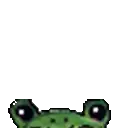 a pixel art of a person wearing a frog costume .